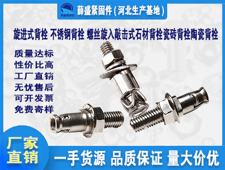 旋進式背栓 不銹鋼背栓 螺絲旋入敲擊式石材背栓瓷磚背栓陶瓷背栓